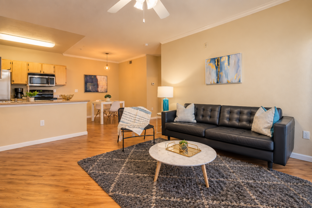 Warm Modern Open-Plan Living Space – Avalon