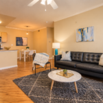 Warm Modern Open-Plan Living Space – Avalon