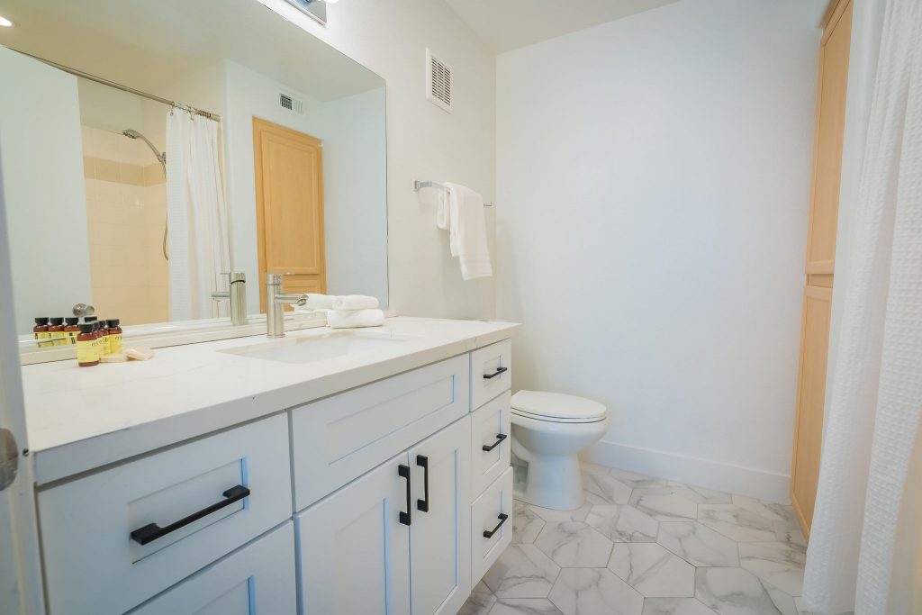 702 Housing – Luna – Bathroom1