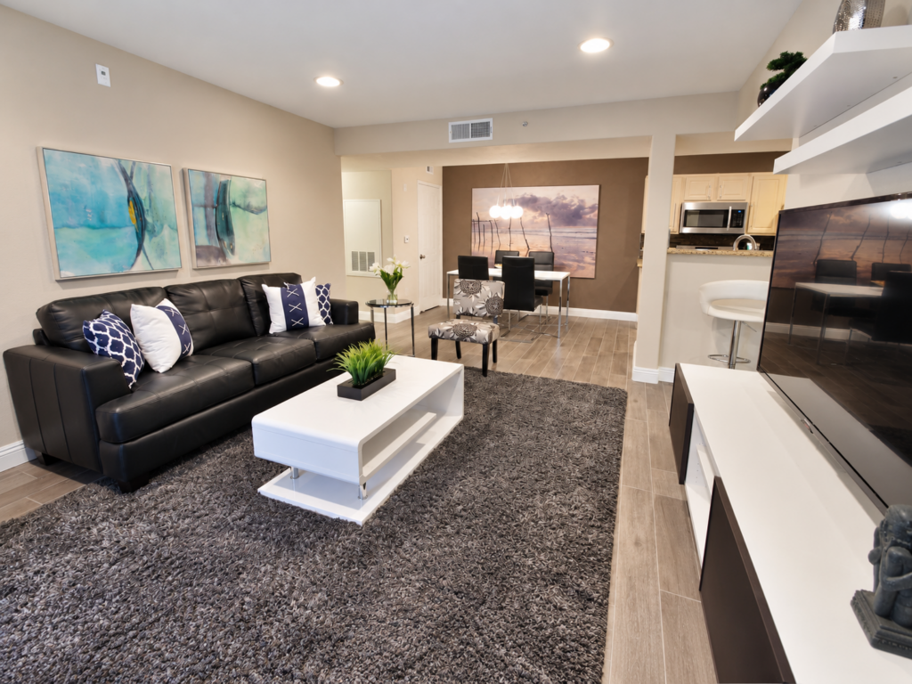 Bright Modern Open-Plan Living Space