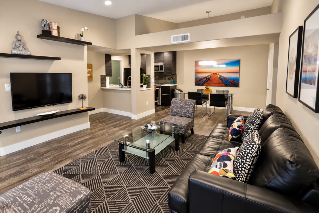 Bright Contemporary Open-Plan Living Space