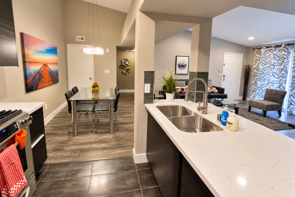 Modern Open-Concept Kitchen and Living Space