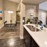 Modern Open-Concept Kitchen and Living Space