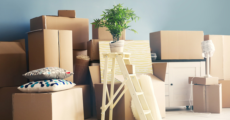 How Do You Move on a Tight Budget? - Movers.com