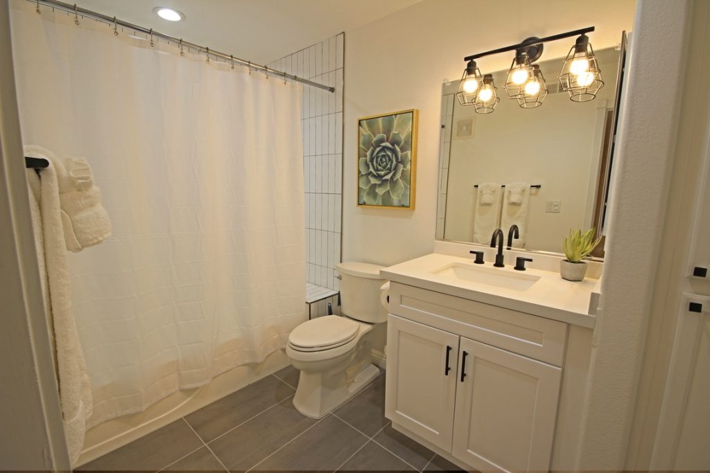 imageedit_8_4078219265