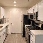 Modern Galley Kitchen with Pantry Door