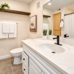 Modern Spa-Like Bathroom Interior