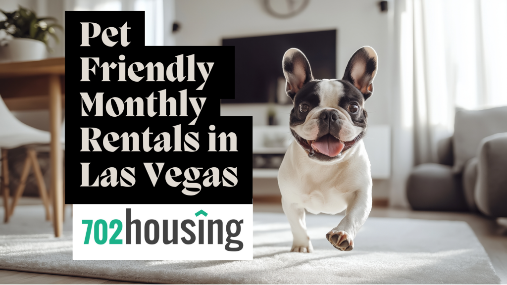 Pet Friendly Monthly Rentals Las Vegas | 702 Housing